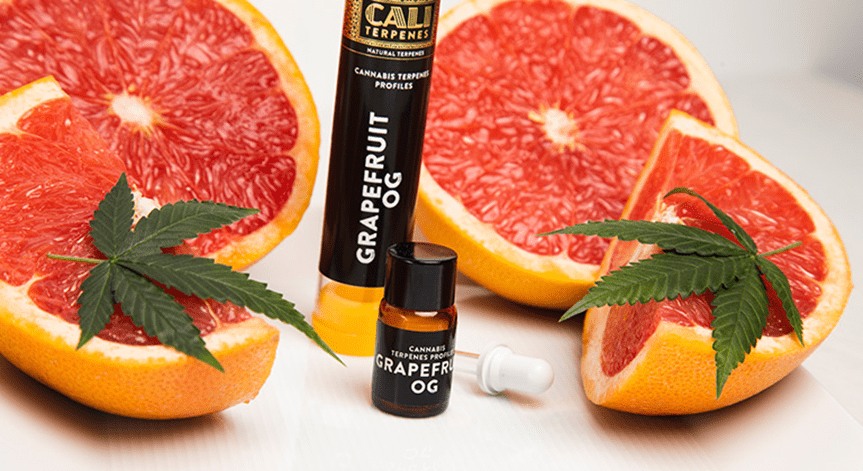 Jak se terpeny klasifikují | Upinsmoke.cz